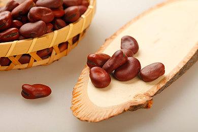 《真人快打1》新预告 新角色T-1000将于3月18日上线